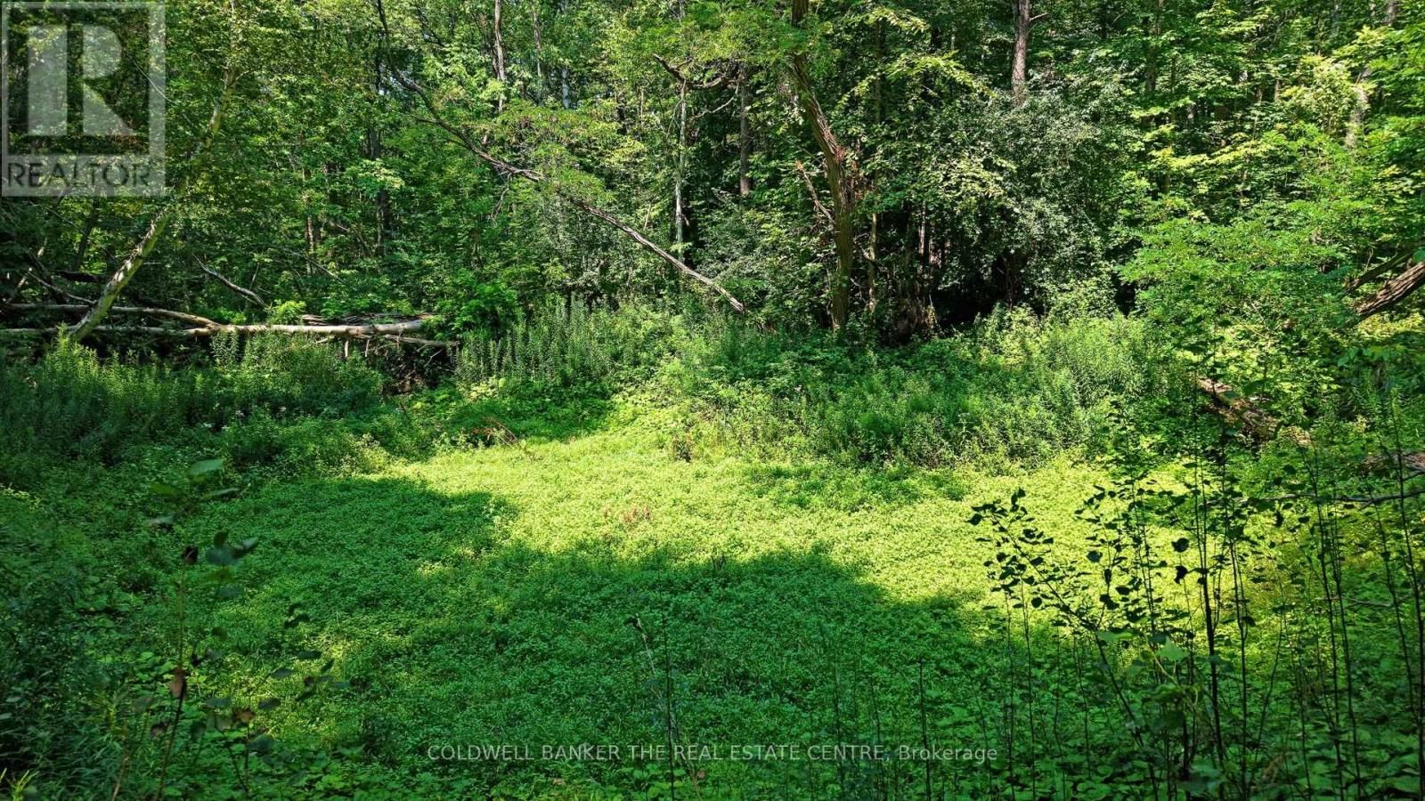 15600 WESTON ROAD Image 17