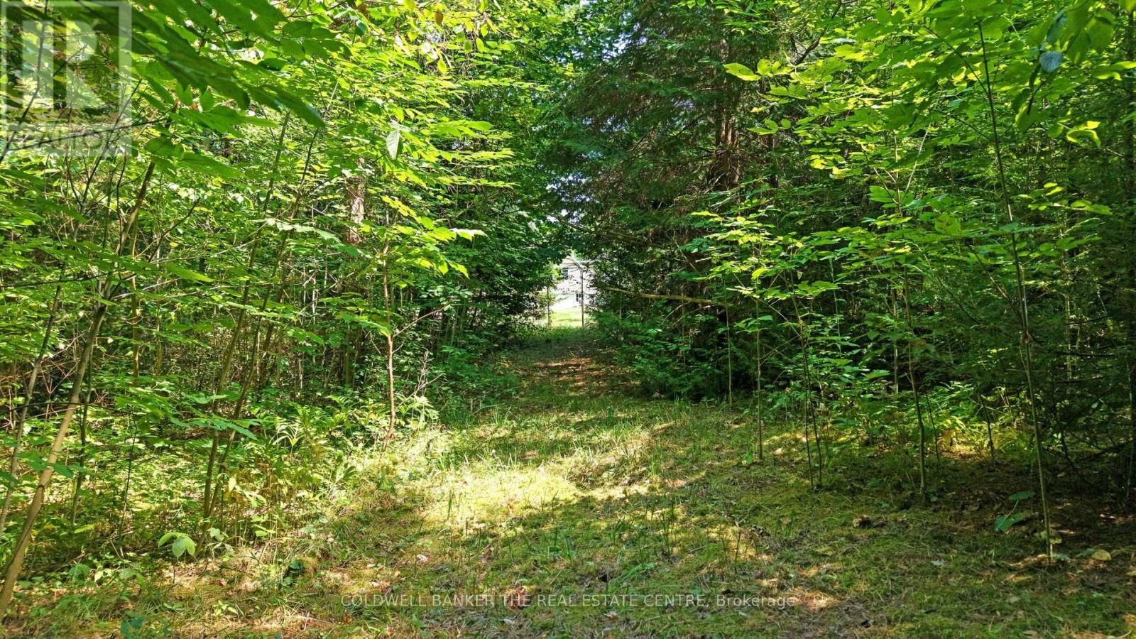 15600 WESTON ROAD Image 20