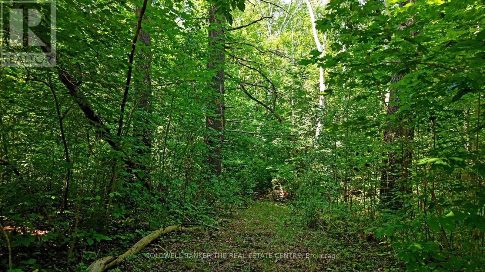 15600 WESTON ROAD Image 21