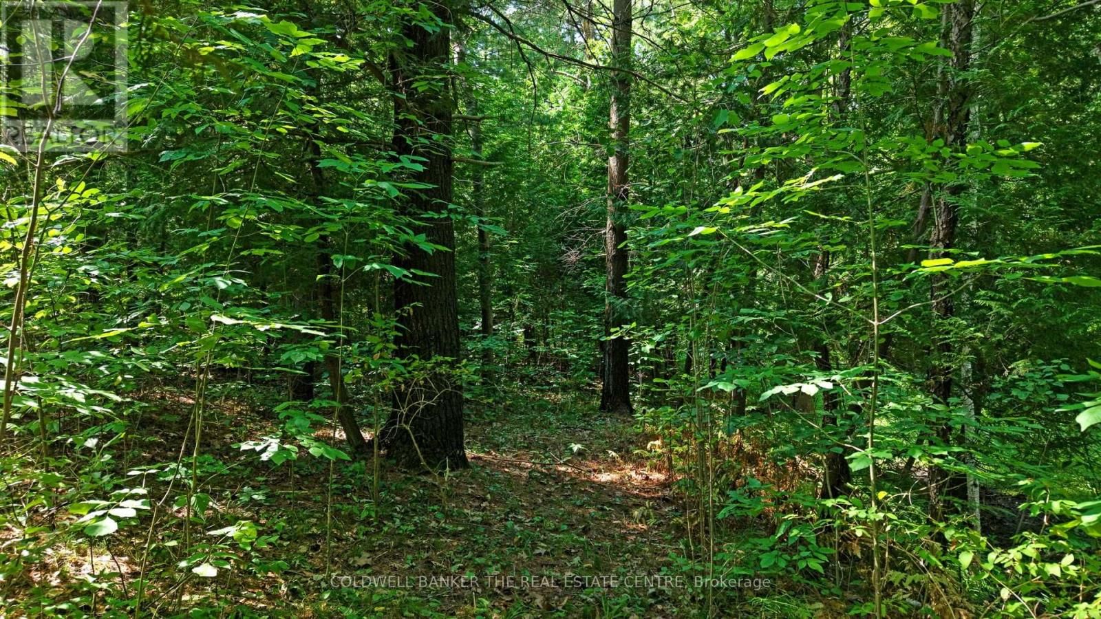 15600 WESTON ROAD Image 22