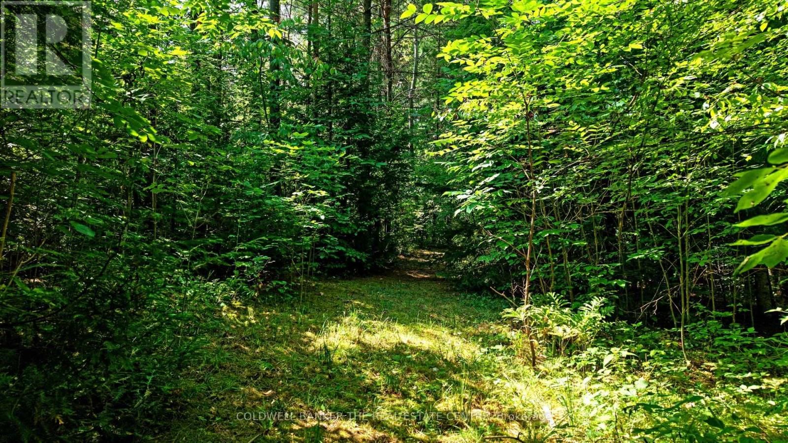 15600 WESTON ROAD Image 23