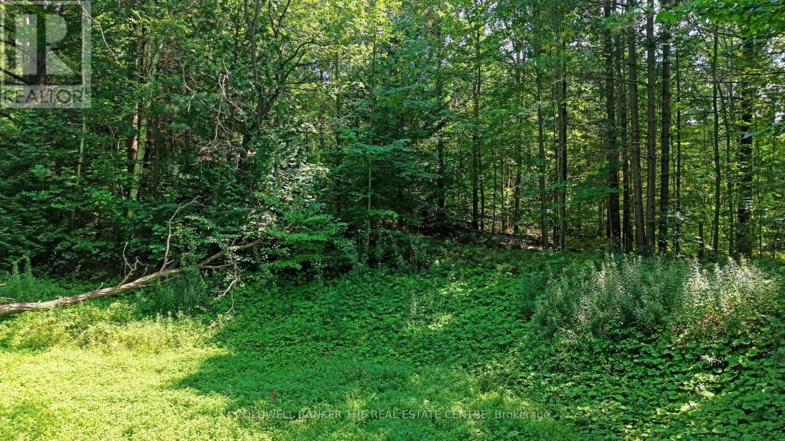 15600 WESTON ROAD Image 25