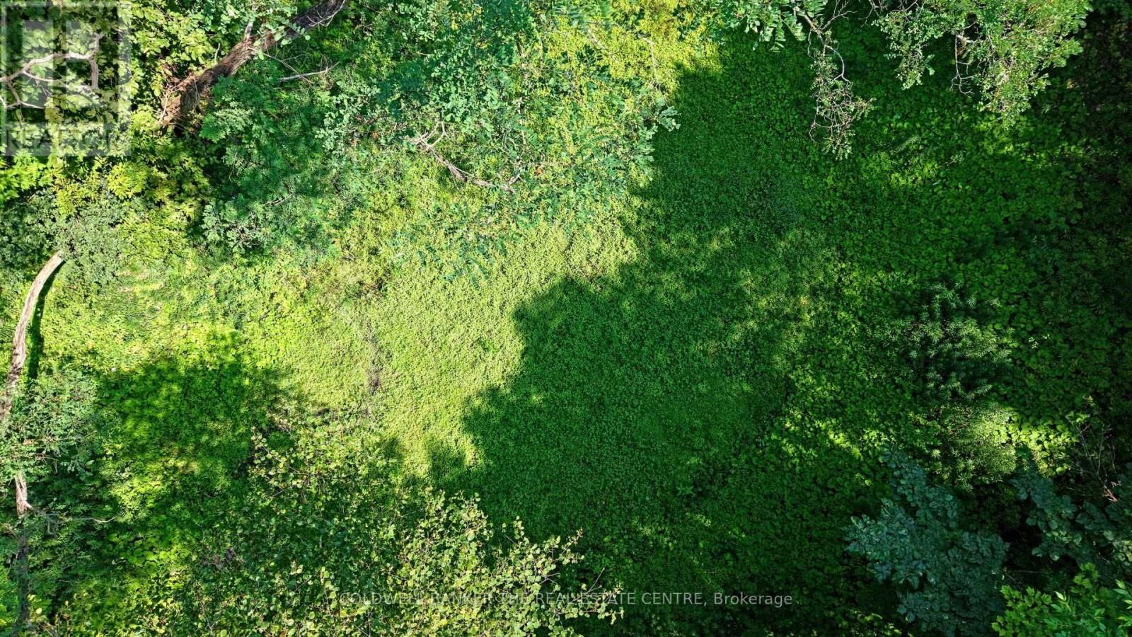 15600 WESTON ROAD Image 26