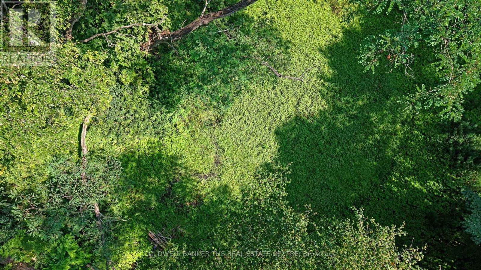 15600 WESTON ROAD Image 27