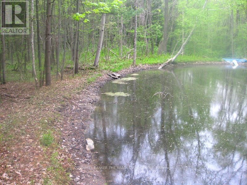 15600 WESTON ROAD Image 35