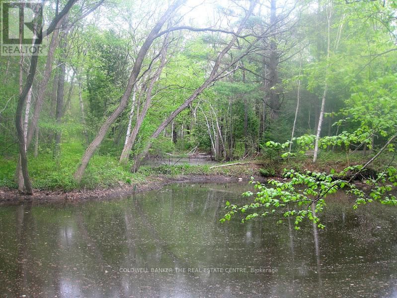 15600 WESTON ROAD Image 36