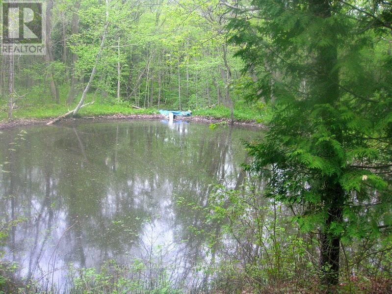 15600 WESTON ROAD Image 37