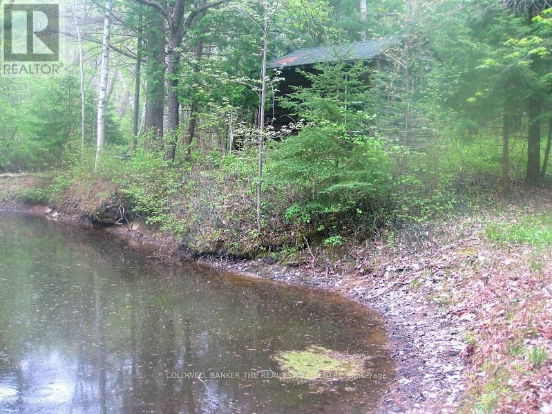 15600 WESTON ROAD Image 38