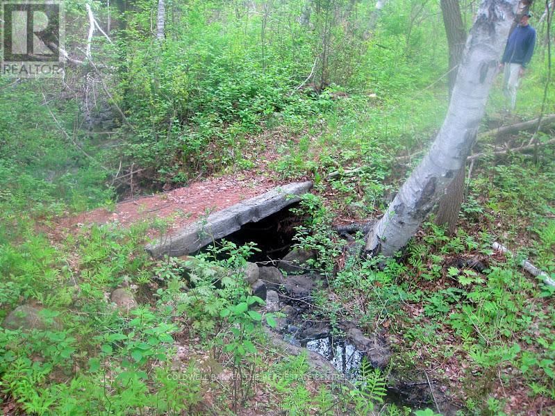 15600 WESTON ROAD Image 40