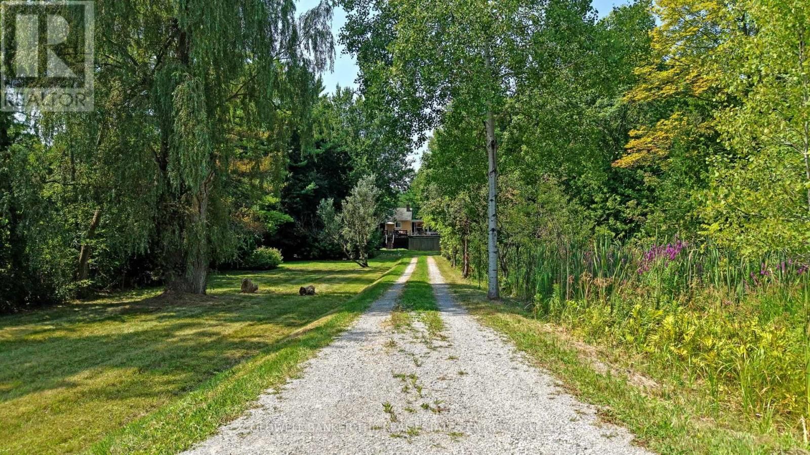 15600 WESTON ROAD Image 7