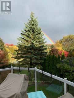 919 SCHAEFFER OUTLOOK Image 47