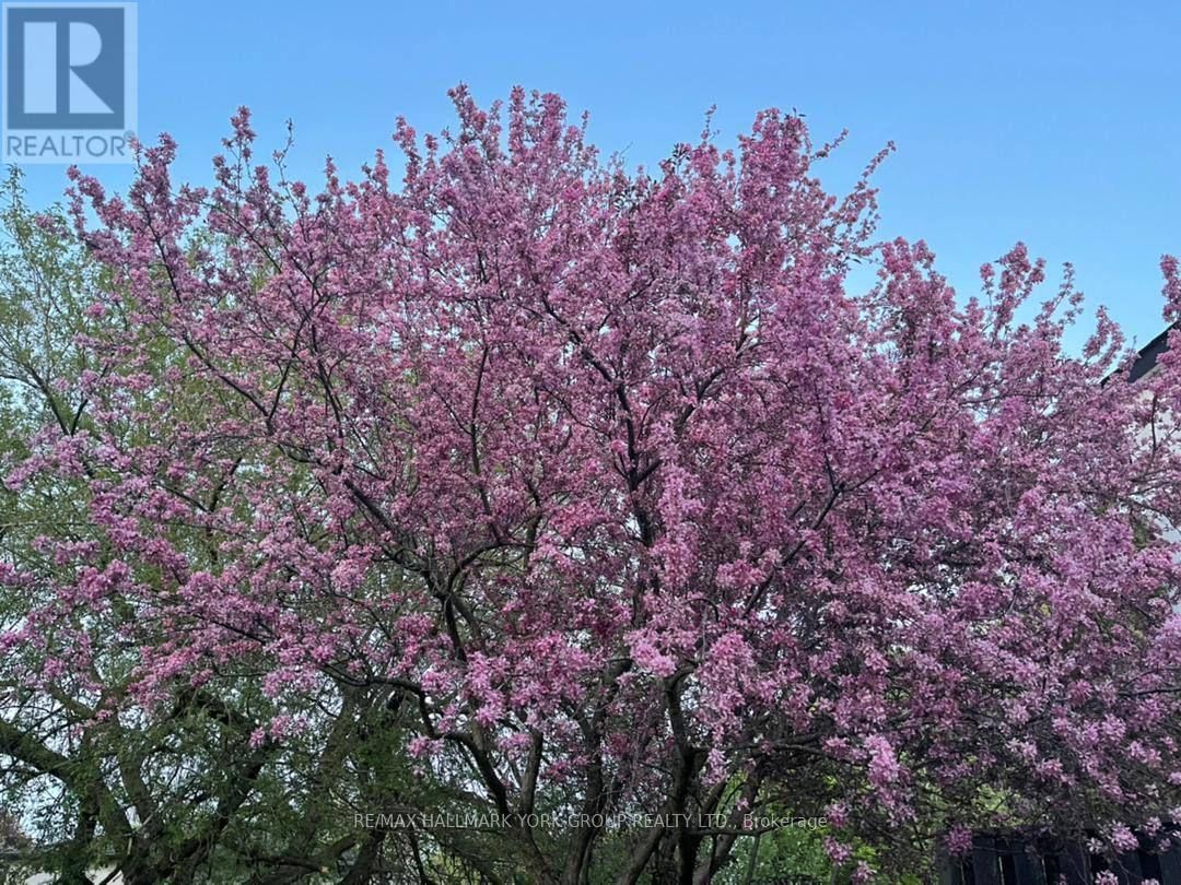 459 SANDFORD STREET Image 45