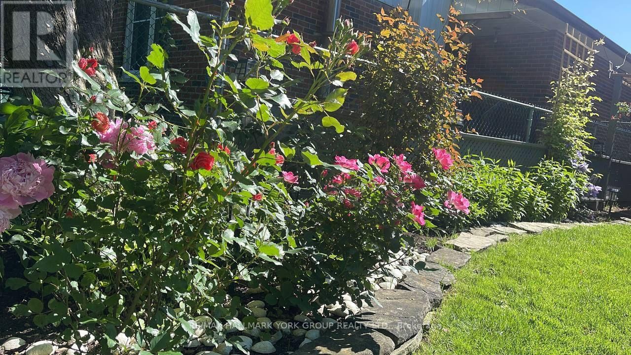 459 SANDFORD STREET Image 50