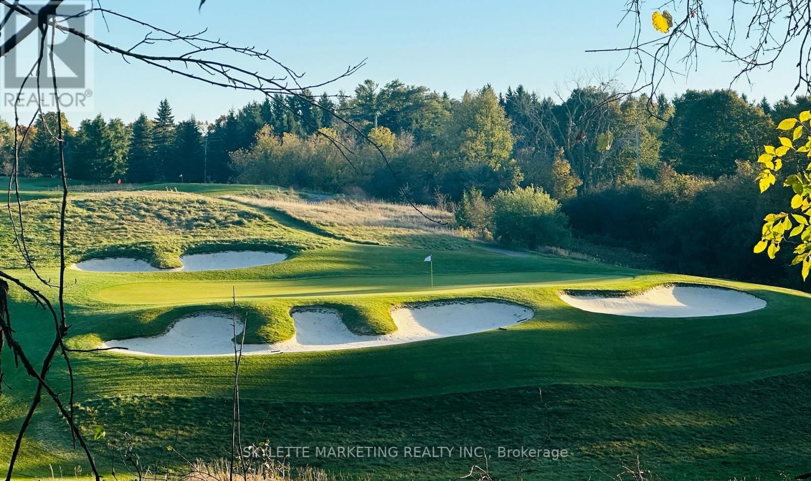 14377 WARDEN AVENUE Image 23