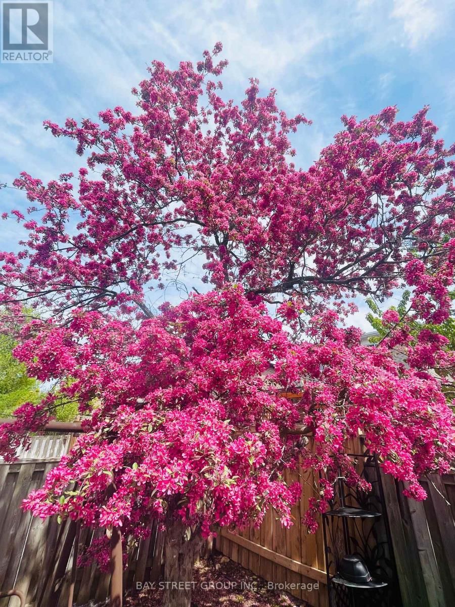 43 BLUESKY CRESCENT Image 12