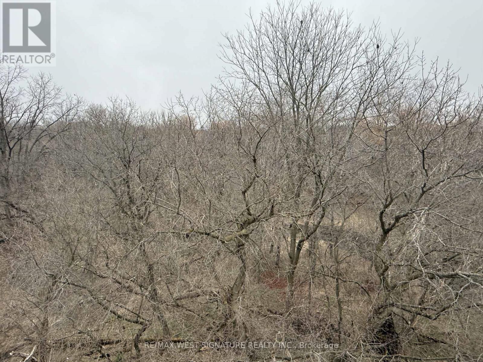 507 - 149 CHURCH STREET Image 19