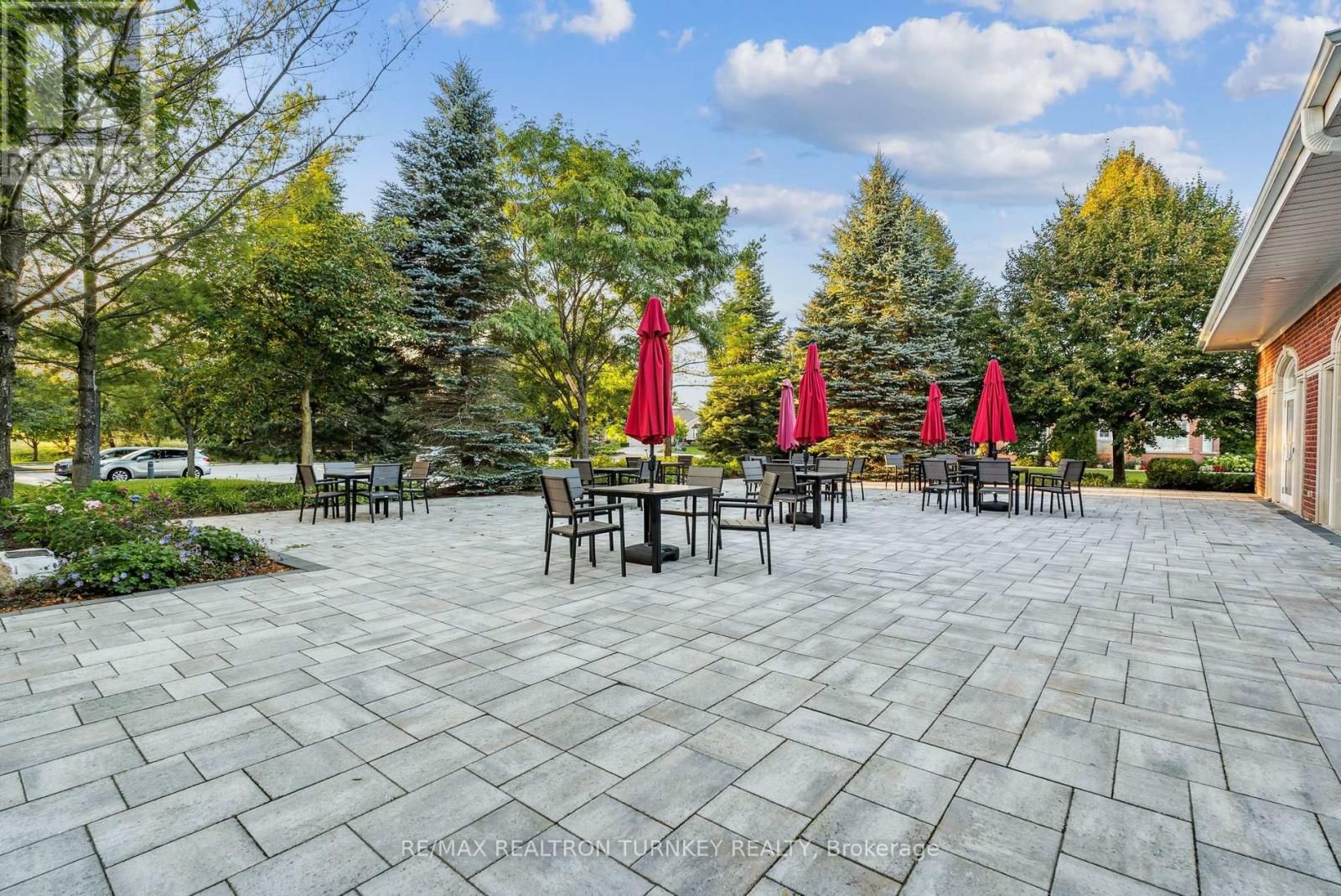 3 LITTLE BEN Image 46