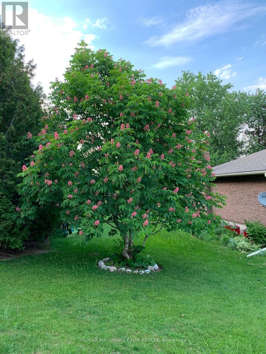 6815 4TH LINE Image 47