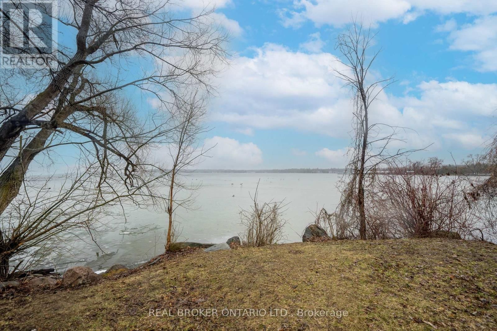 1092 ALFRED STREET Image 6