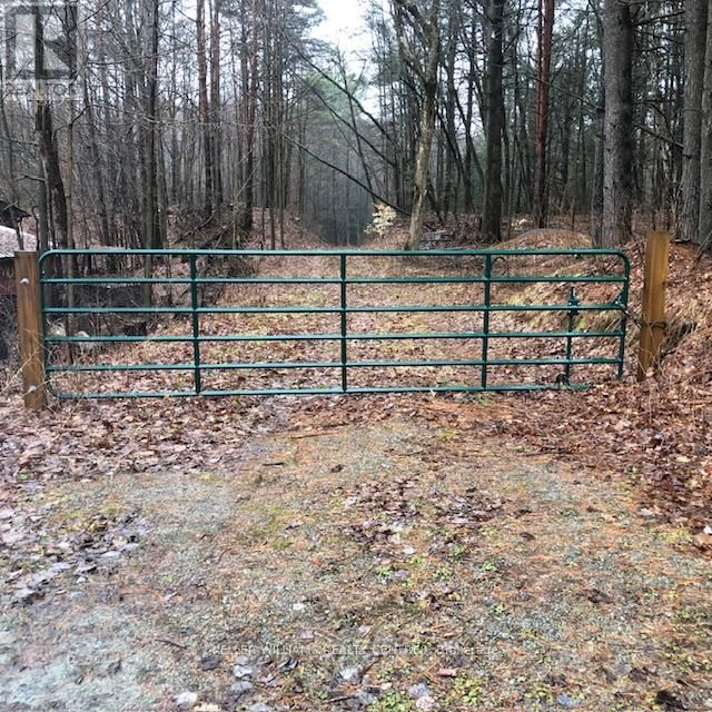 5055 CHERRY STREET Image 3