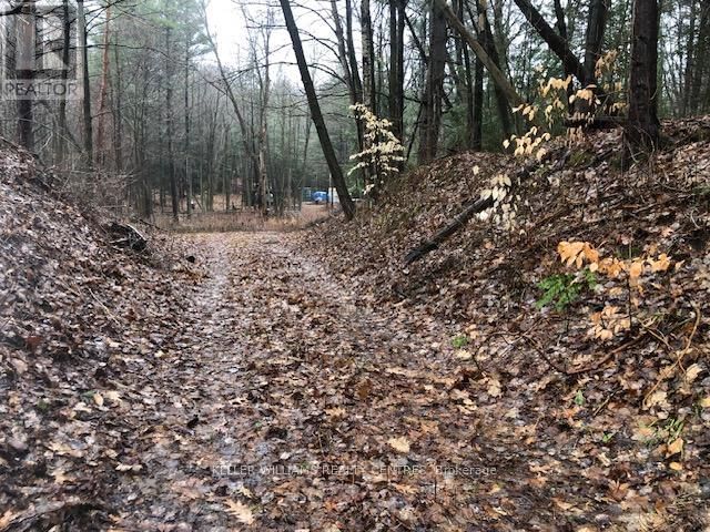 5055 CHERRY STREET Image 4