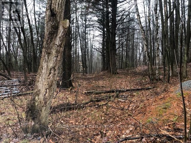 5055 CHERRY STREET Image 6