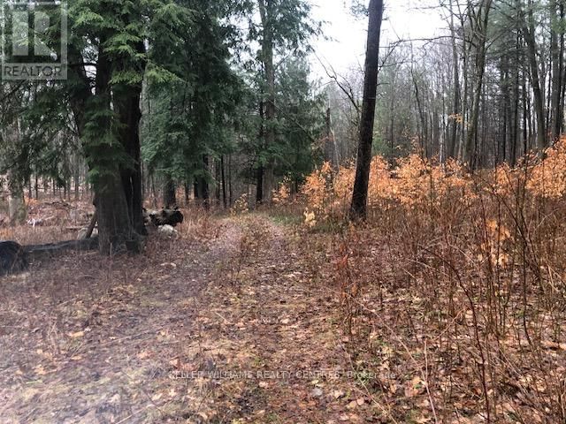 5055 CHERRY STREET Image 7