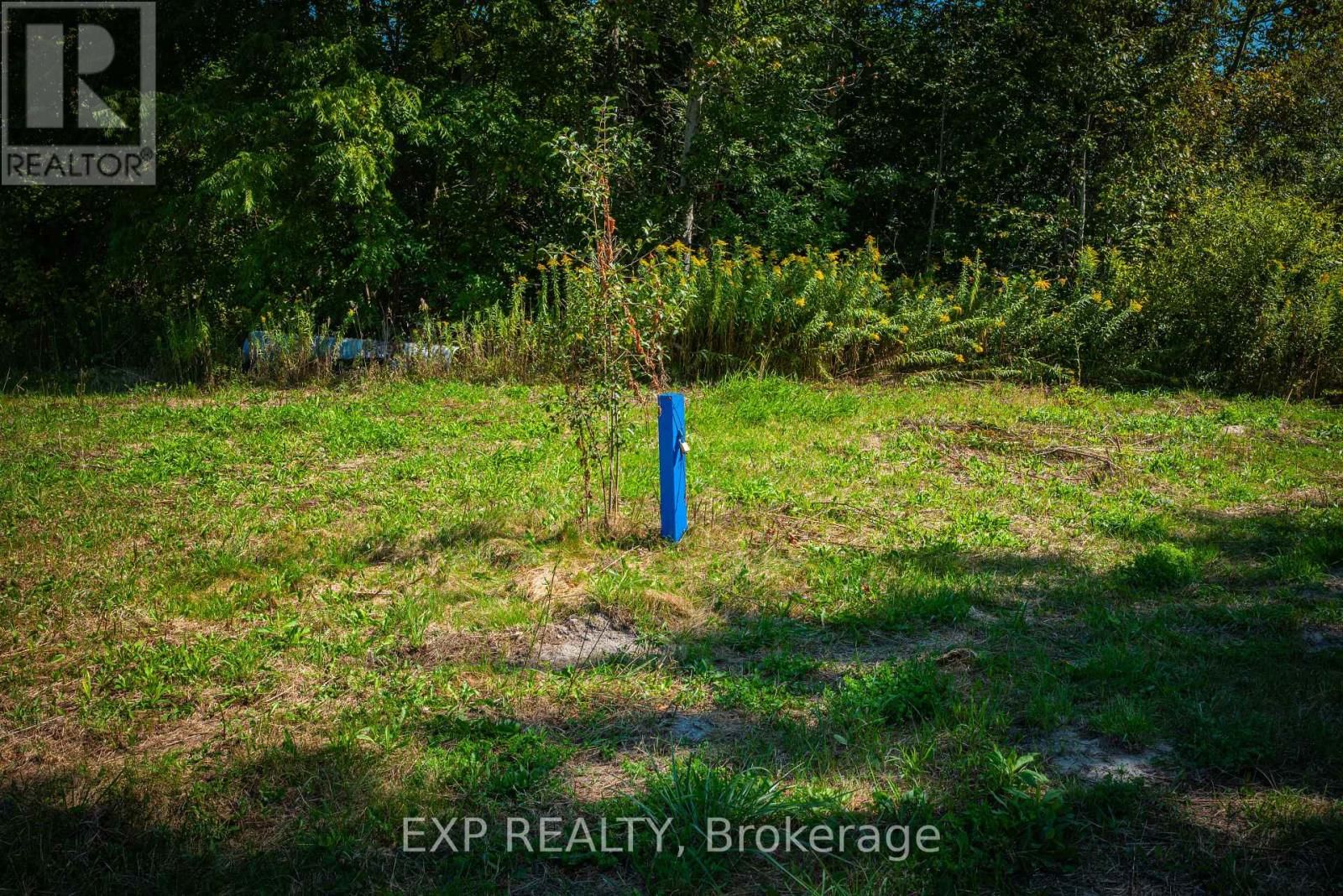 26839 CIVIC CENTRE ROAD Image 21