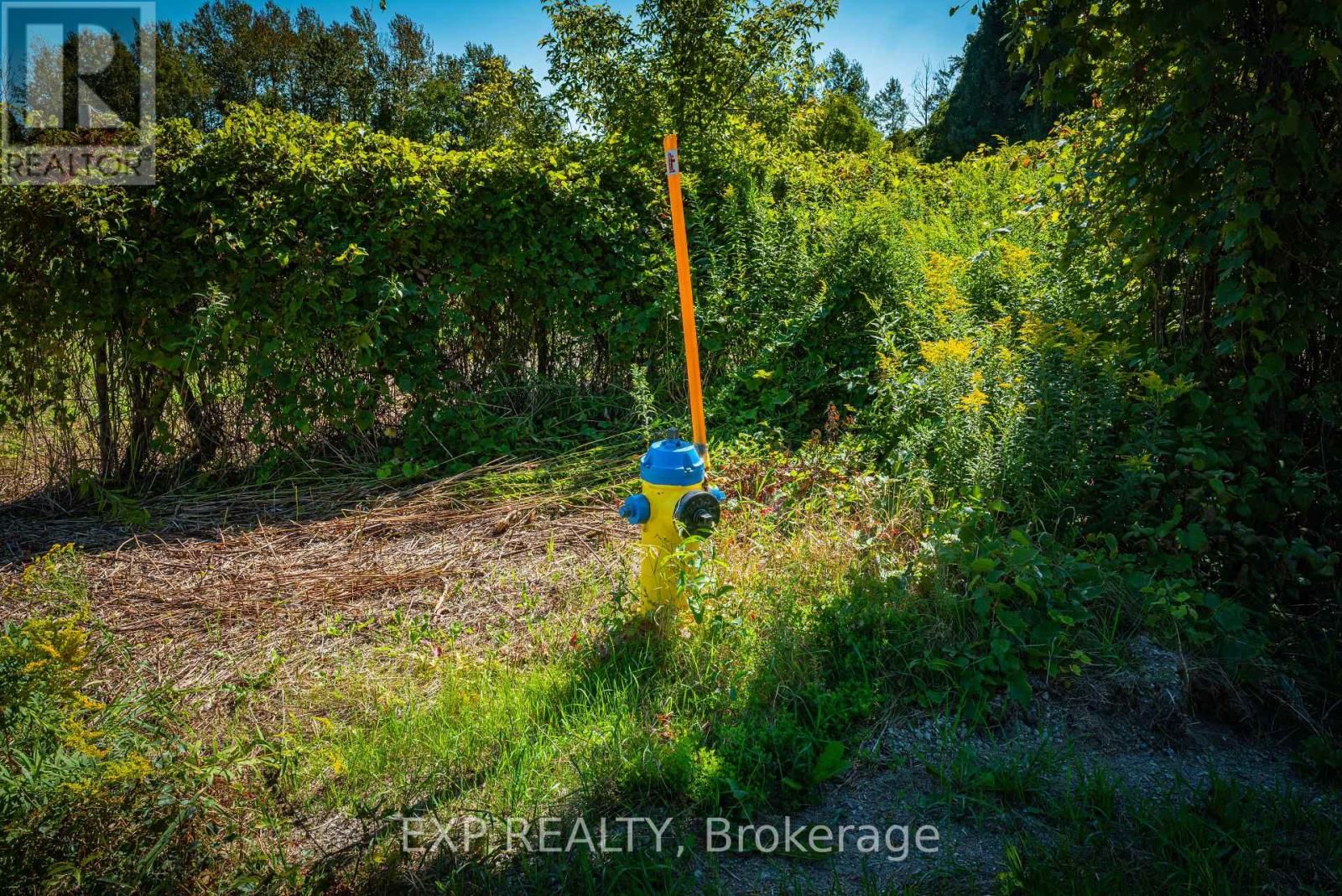 26839 CIVIC CENTRE ROAD Image 8