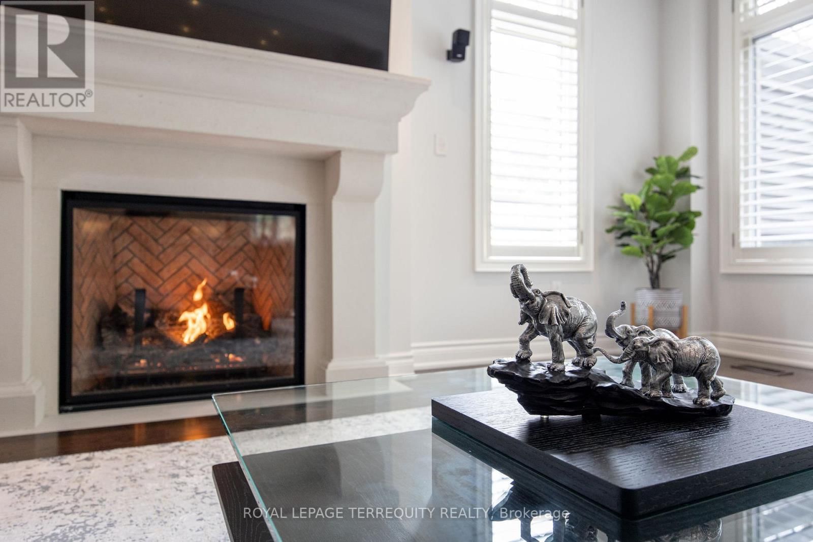 244 FREDERICK CURRAN LANE Image 14