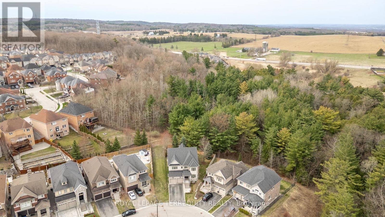 244 FREDERICK CURRAN LANE Image 49