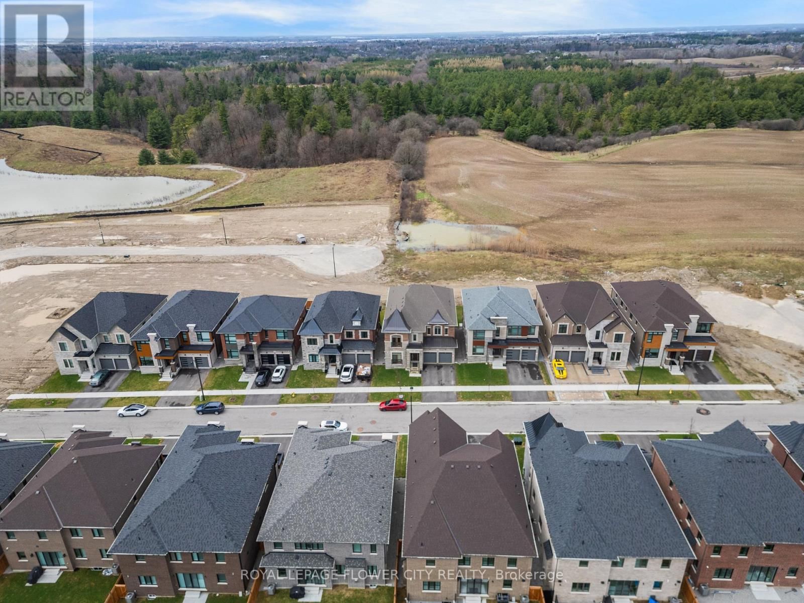 20 SERAVILLE STREET Image 39