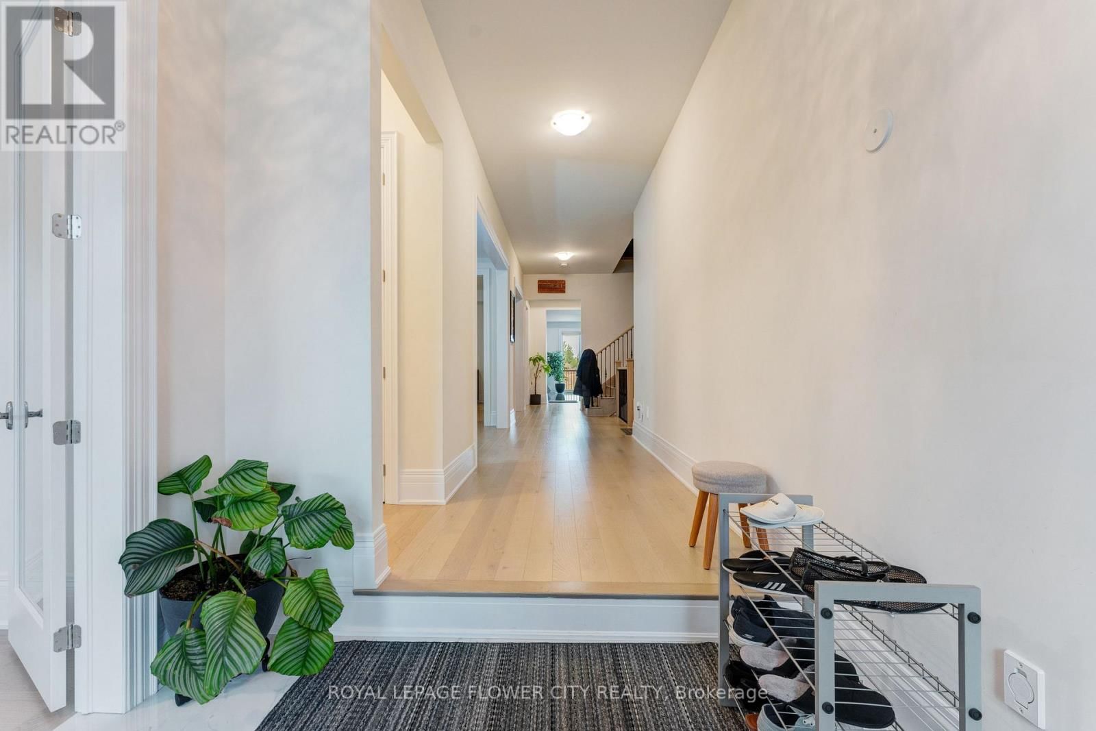 20 SERAVILLE STREET Image 6