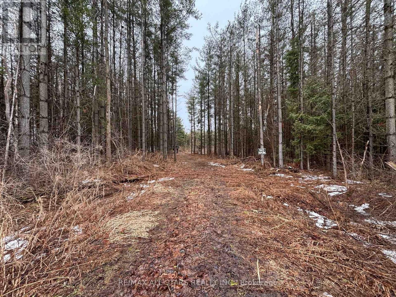 B1780 THOROH CONC 3 RD CORNERS Image 2