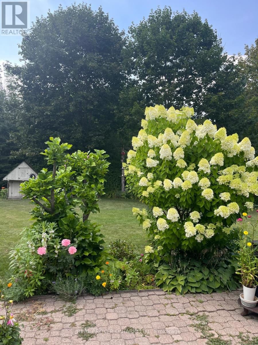 40 SEATON DRIVE Image 49