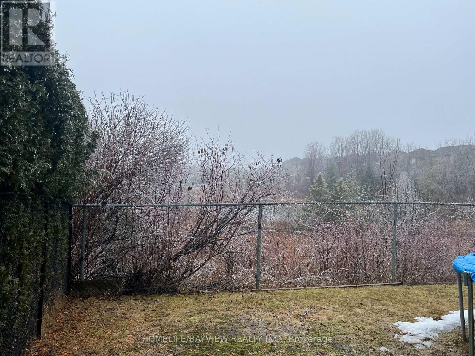 Bmnt - 367 SILKEN LAUMANN DRIVE Image 9