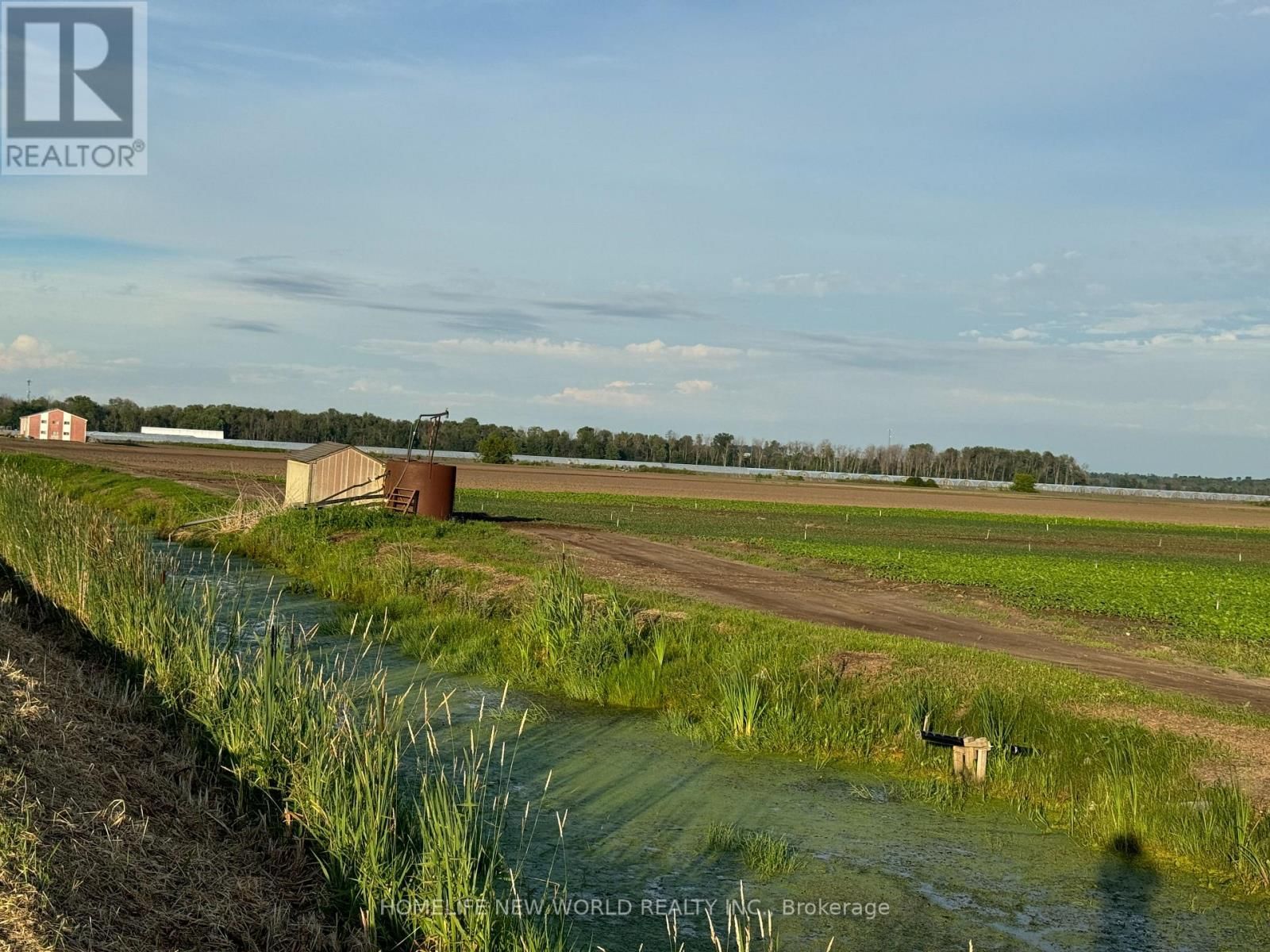 571 RAVENSHOE ROAD Image 2