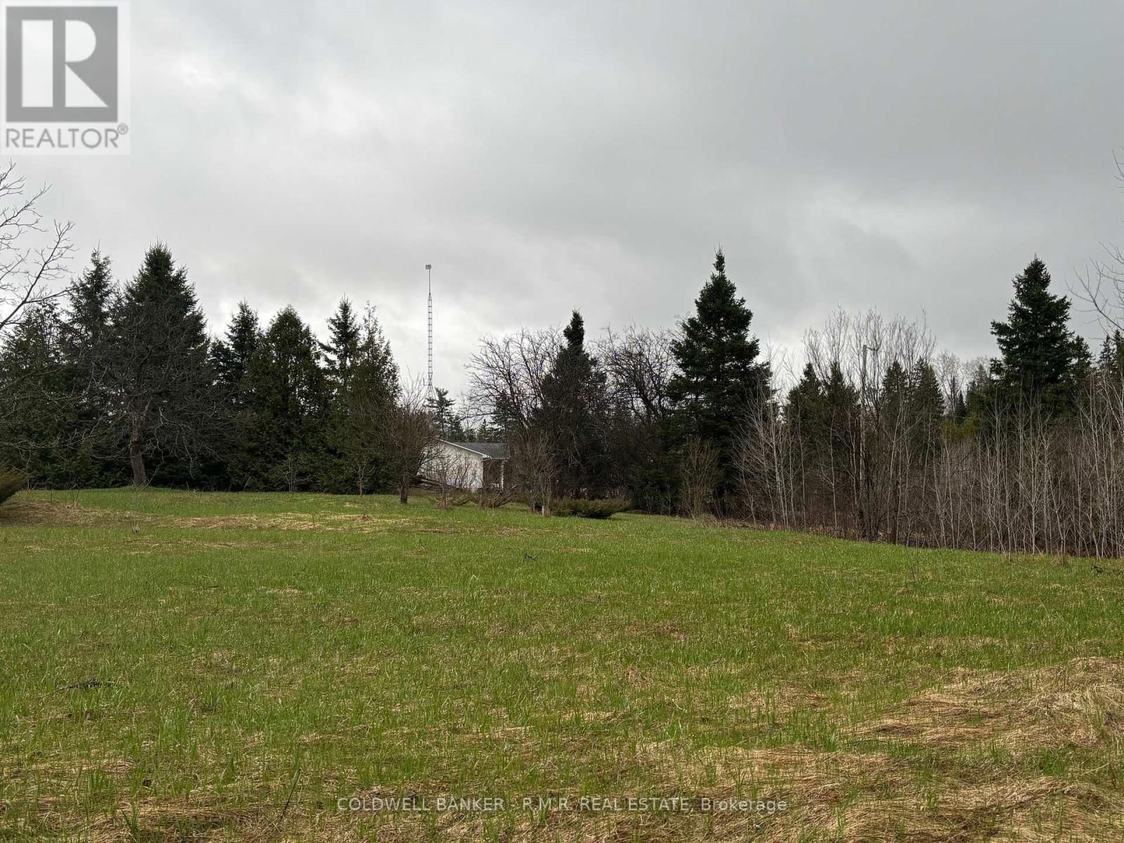 CONCESSION RD 3 ROAD Image 4