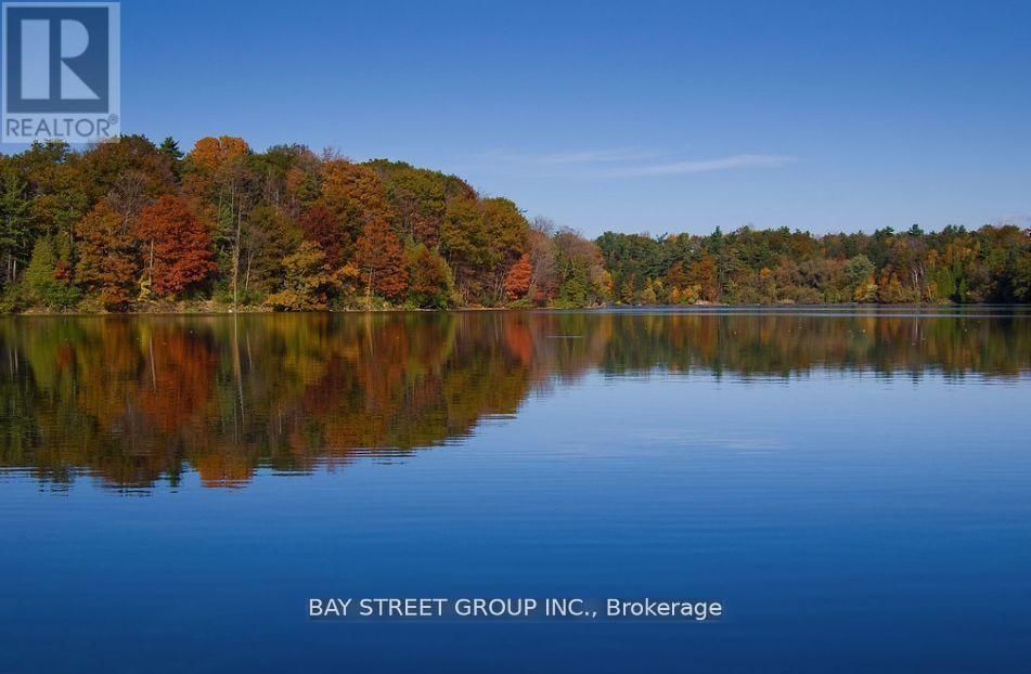 48 COZENS DRIVE Image 38