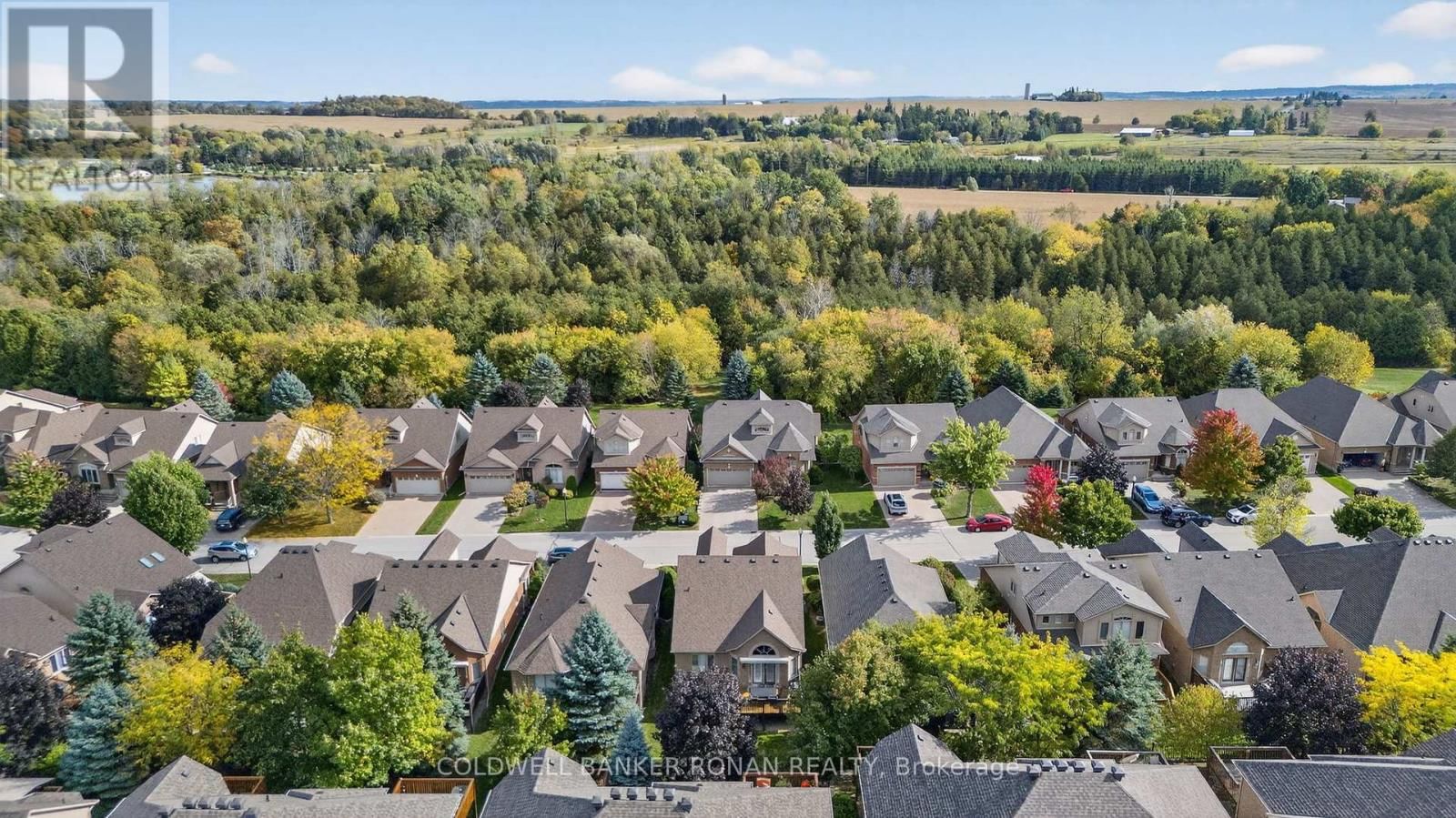 9 - 142 BELLA VISTA TRAIL Image 45