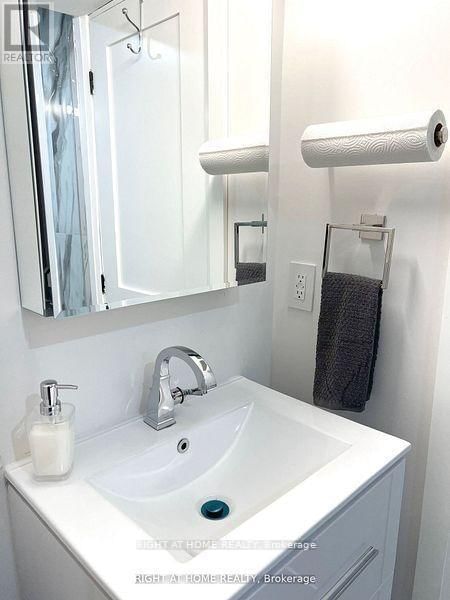 Lower L - 115 BONNY MEADOWS DRIVE Image 17