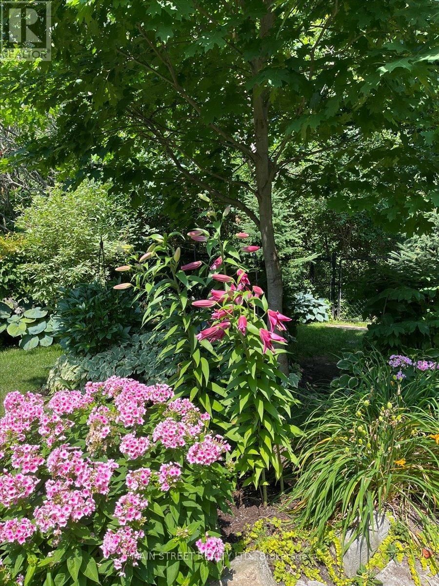 38 CARRIAGE HOUSE COURT Image 33