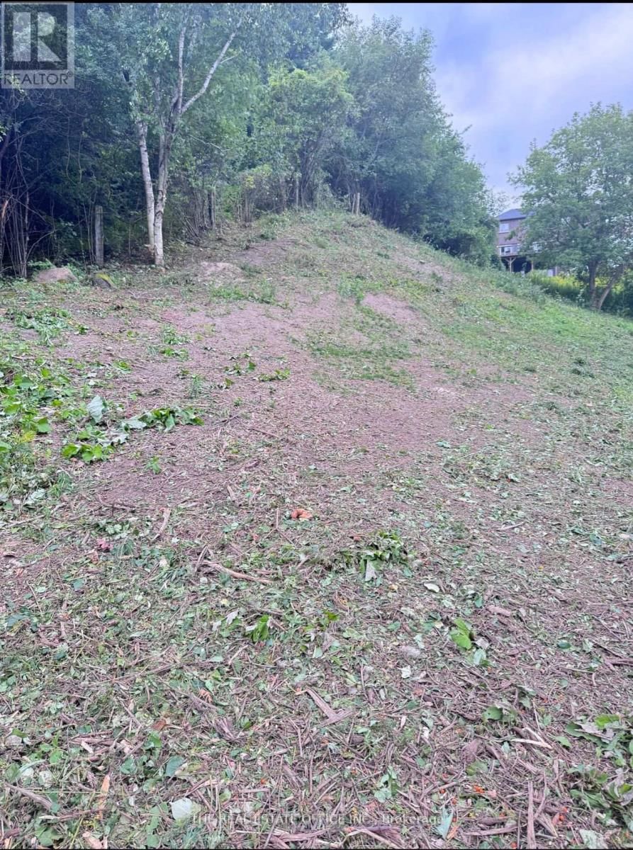 119 STEMMLE DRIVE Image 1