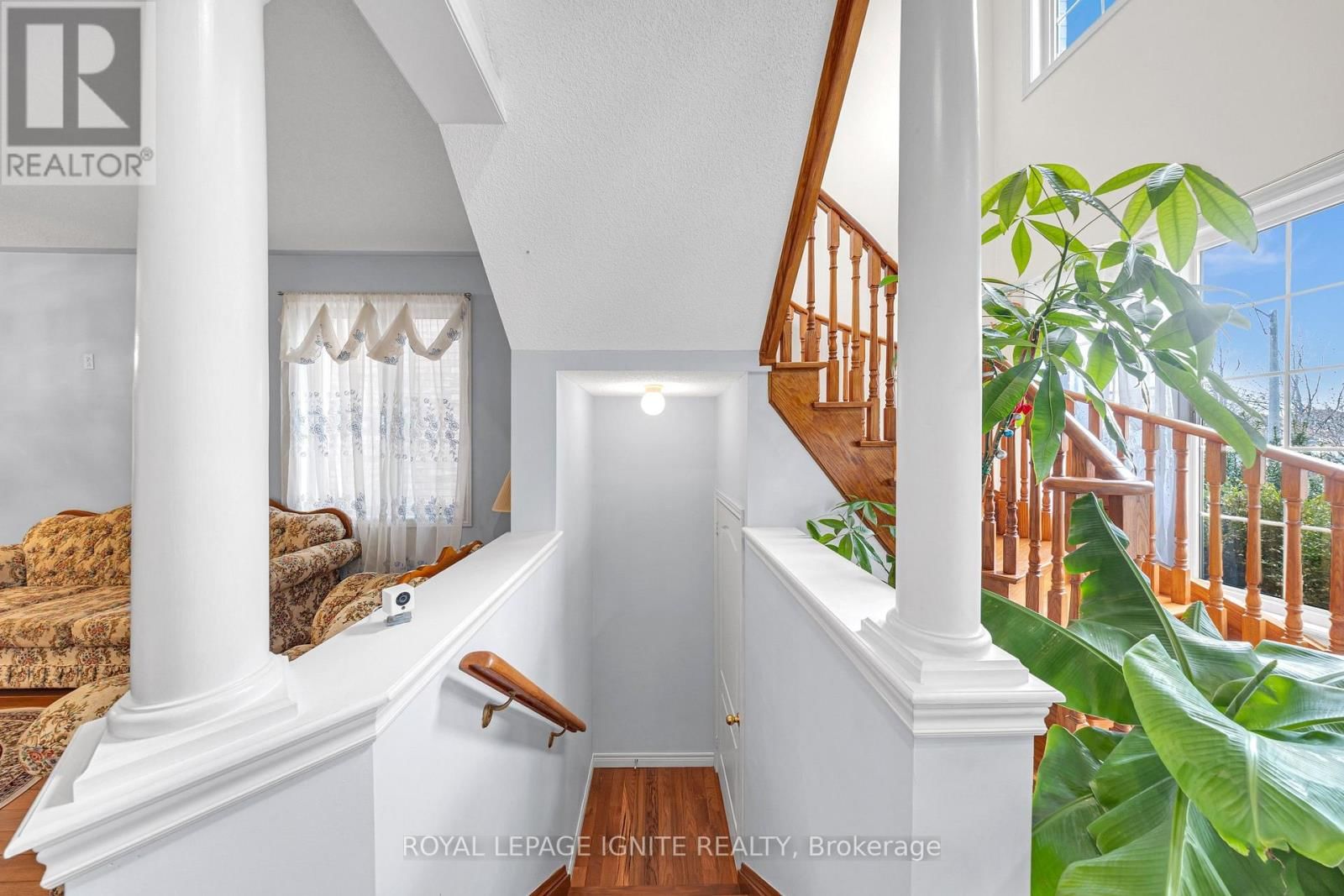 59 BOSWELL ROAD Image 20