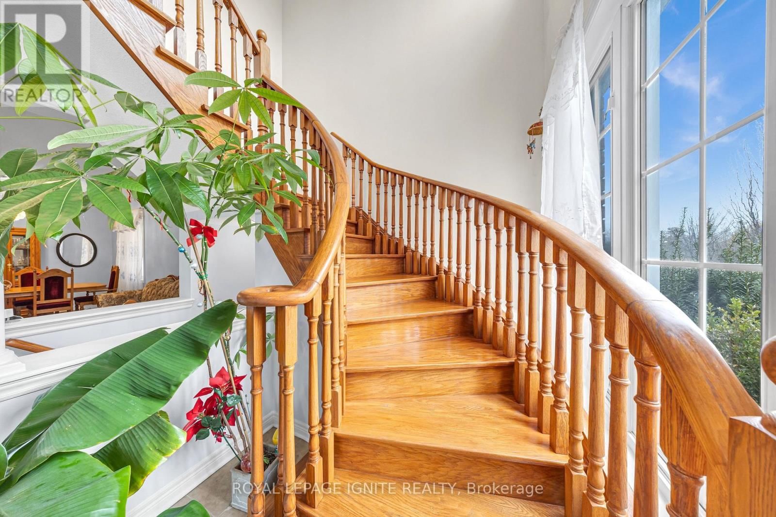 59 BOSWELL ROAD Image 21