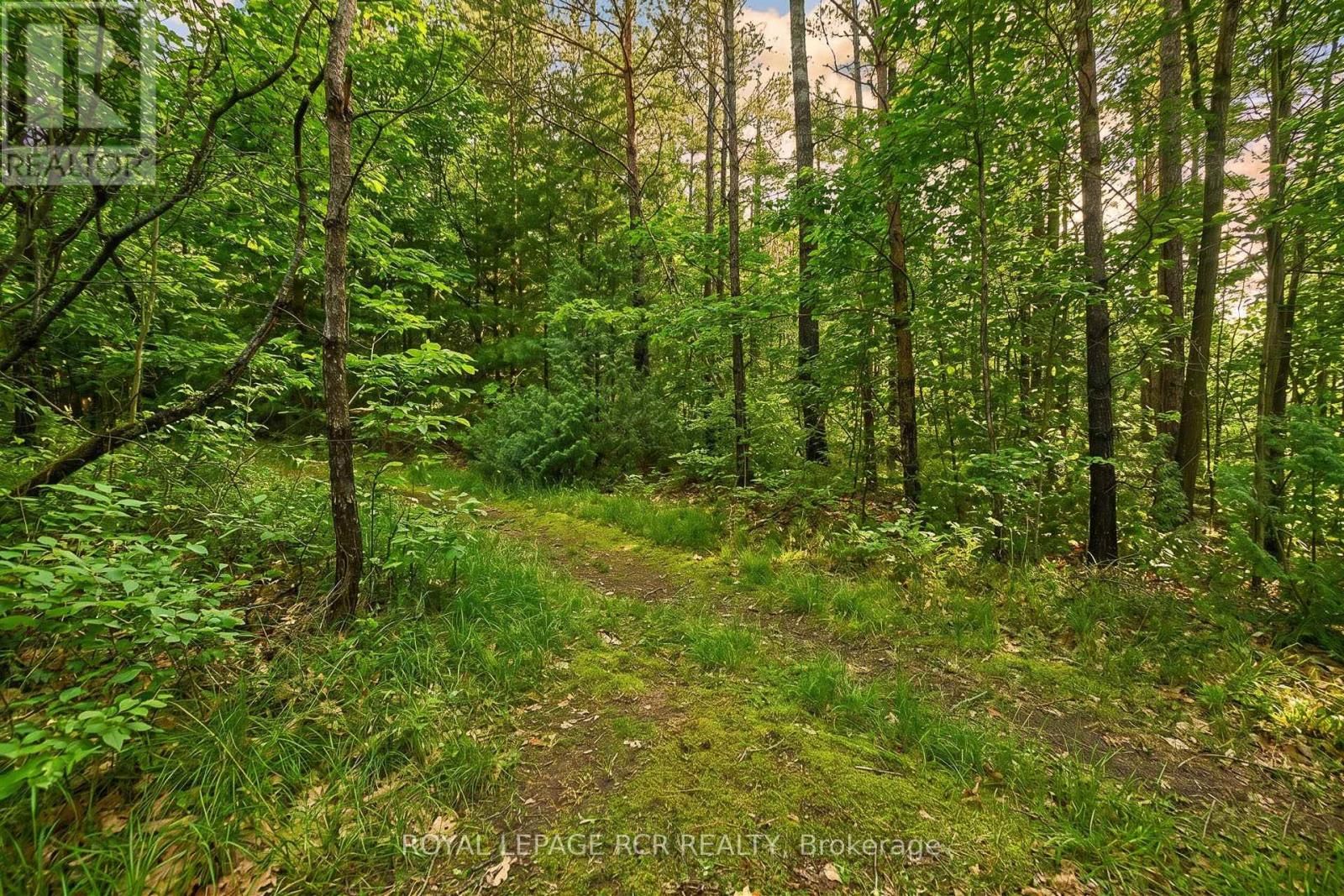 4143 VIVIAN ROAD Image 42