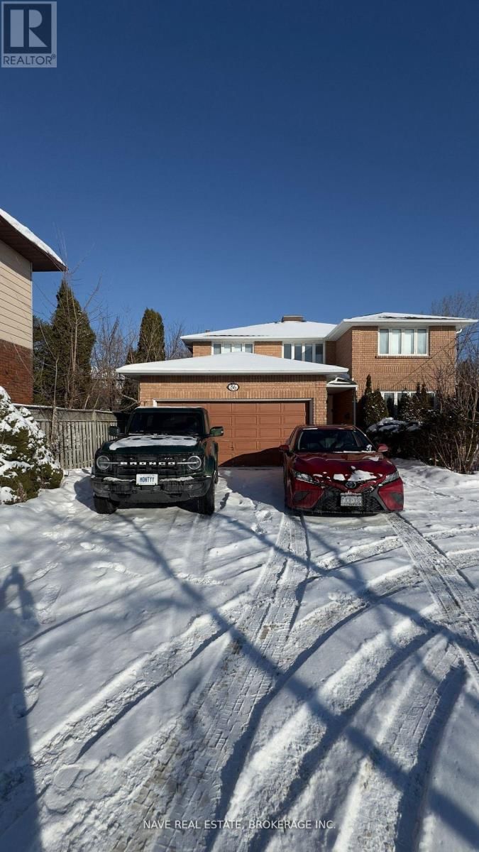 Basement - 86 ELGIN MILLS ROAD WEST Image 1