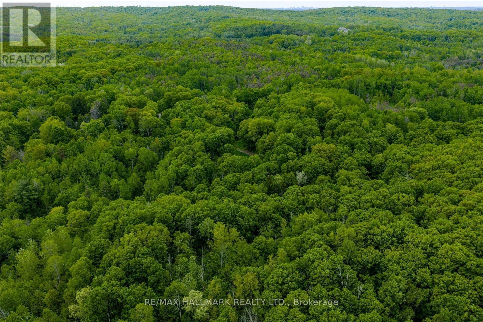 430 CHURCHILL AVENUE Image 12