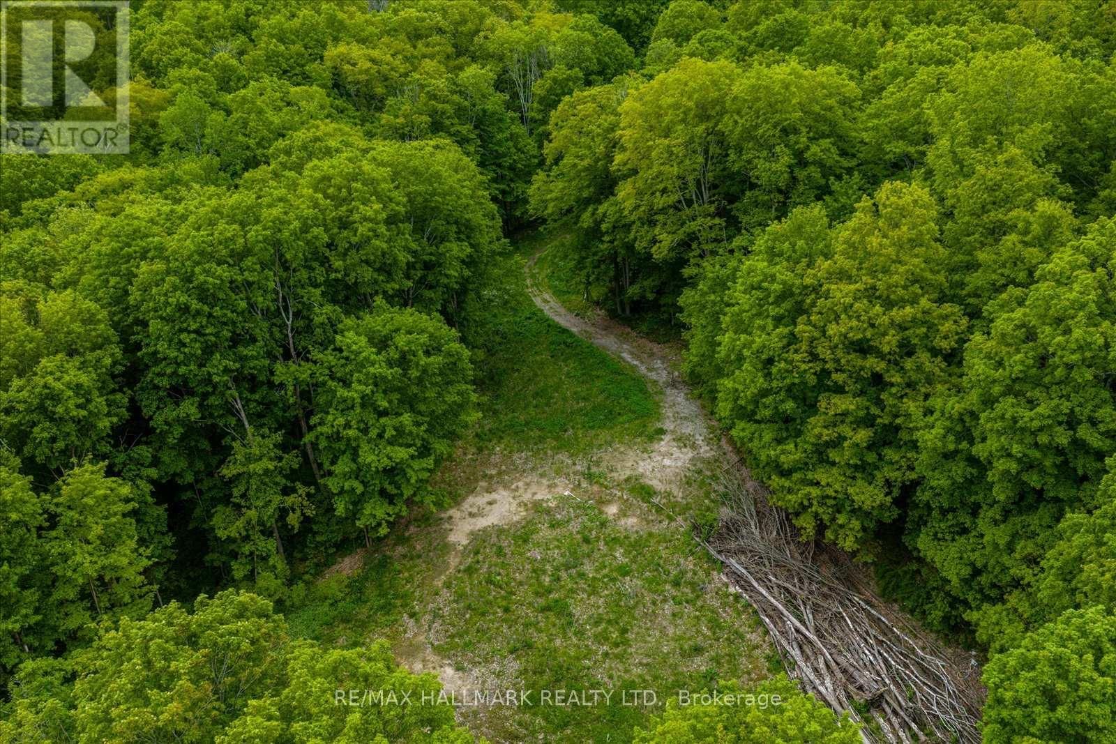 430 CHURCHILL AVENUE Image 14