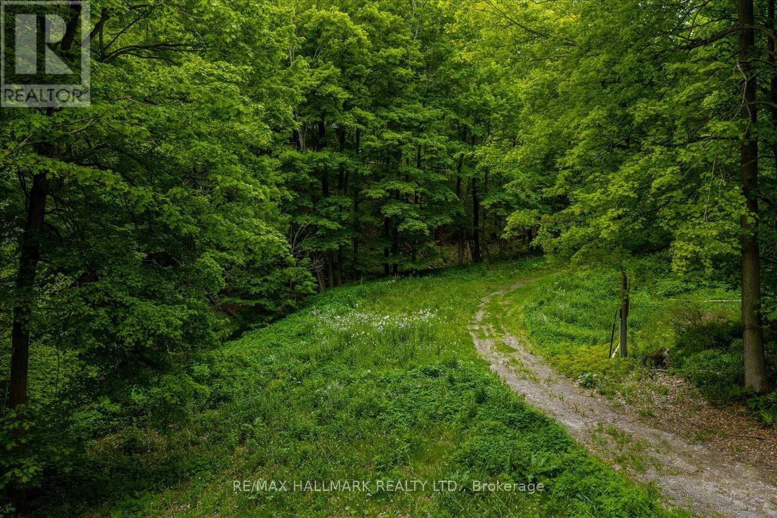 430 CHURCHILL AVENUE Image 16